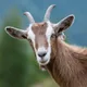 Fejby's avatar